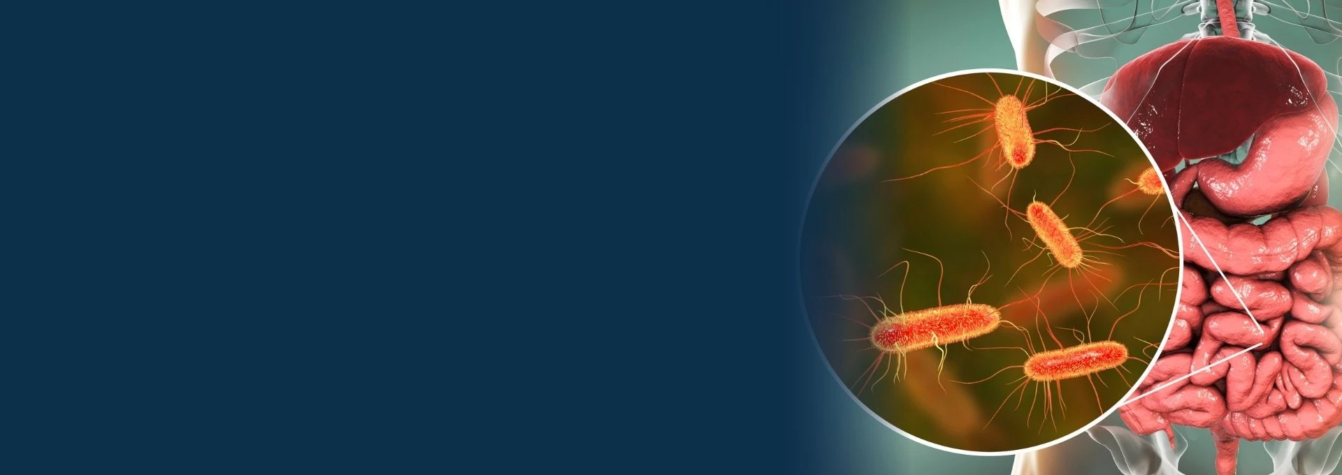 Mikrobiom-vizsgálat