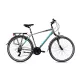 Capriolo Roadster Man 1.0 férfi trekking kerékpár 22" szürke