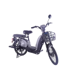   ZTECH ZT-01, Ólomsavas 48V12Ah 480W 22'' 25km/h ELEKTROMOS ROBOGÓ *LASER 15* (DKD) EEC ezüst